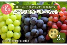 【先行予約☆厳選ブランド】「ぶぶぶどう」３種（シャインマスカット＋2種）食べ比べ！約1.5～2kg＜井上ぶどう園＞［CCE003］