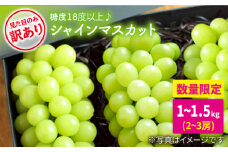 【ご家庭におすすめ♪糖度18度以上！】シャインマスカット1～1.5kg（2,3房）＜井上ぶどう園＞［CCE001］
