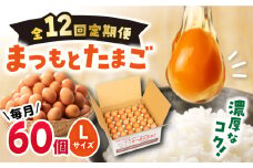 【12回定期便】 まつもとたまご Lサイズ 赤玉 60個 ＜松本養鶏場＞[CCD008]