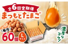 【6回定期便】 まつもとたまご  Lサイズ 赤玉 60個 ＜松本養鶏場＞[CCD007]
