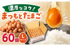 まつもとたまご Lサイズ 赤玉 60個 長崎県産 西海市 たまご 卵 玉子 タマゴ 鶏卵 オムレツ 卵かけご飯 朝食 料理 人気 卵焼き ＜松本養鶏場＞[CCD005]