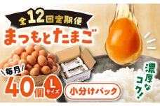 卵 【12回定期便】まつもと たまご Lサイズ 40個＜松本養鶏場＞[CCD004] 長崎県産 西海市 たまご 卵 玉子 たまご 鶏卵 オムレツ 卵かけご飯 朝食 料理 人気 卵焼き 