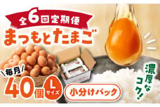 【月1回40個×6回 定期便 】家族のために選びたい「 まつもとたまご 」計240個＜松本養鶏場＞[CCD003] 