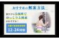  長崎県産 牛肉 牛スライス スライス すき焼き しゃぶしゃぶ  すき焼き すきやき 肉