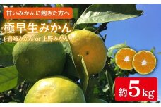 【10月上旬から順次発送】極早生 みかん （岩崎・上野）約5kg  ＜Da・IWASAKI FARM＞[CCZ001] みかん ミカン 柑橘 西海みかん 早生みかん 贈答 ギフト みかん 