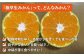 極早生 みかん 5kg