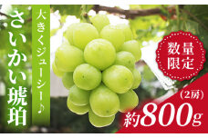 マスカット 【先行予約☆もっちり弾ける宝石】さいかい琥珀（雄宝/ゆうほう）約800g（2房）＜山田果樹園＞[CCX002]  長崎 西海 シャインマスカット マスカット ぶどう 高糖度 ますかっと 果物 フルーツ 贈答