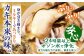 カキ 牡蠣 5kg かき