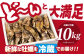 カキ 牡蠣 10kg