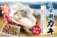 カキ 牡蠣 3kg