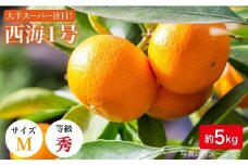 みかん 【11月上旬より順次発送/限定20箱】西海１号（温州みかん）約5kg（秀品/Mサイズ）＜西海柑橘農業協同組合＞ [CCF005] 長崎 西海 みかん ミカン 蜜柑 温州みかん 贈答 みかん みかん 5kg 年内配送 年内