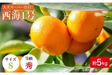 みかん 【11月上旬よりお届け/順次発送】西海1号（温州 みかん ）約 5kg （秀品/Sサイズ）＜西海柑橘農業協同組合＞ [CCF006] 長崎 西海 みかん ミカン 蜜柑 温州みかん 限定 みかん 5kg 年内配送 年内