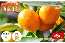 みかん【11月上旬より順次発送】【訳あり】西海1号（温州 みかん ）約 5kg（優品/Sサイズ）＜西海柑橘農業協同組合＞ [CCF004] 長崎 西海 みかん ミカン 蜜柑 温州みかん 限定 みかん 年内配送 年内