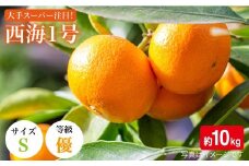 みかん 【11月上旬より順次発送】【 訳あり 】西海1号（温州 みかん ）約 10kg （優品/Sサイズ）＜西海柑橘農業協同組合＞ [CCF002] 長崎 西海 みかん ミカン 蜜柑 温州みかん 限定 みかん 年内配送 年内
