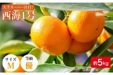 みかん 【11月上旬より順次発送】【訳あり】西海1号（温州 みかん ）約 5kg （優品/Mサイズ）＜西海柑橘農業協同組合＞ [CCF003] 長崎 西海 みかん ミカン 蜜柑 温州みかん 限定 みかん 5kg 年内配送 年内