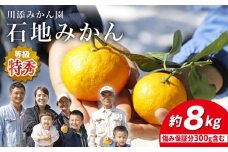 みかん 【12月上旬より配送】 石地みかん/特秀品 約8kg（傷み保証分300g含む） みかん ミカン 西海 みかん 西海市 みかん 贈答 ギフト ＜川添みかん園＞ [CCT008]