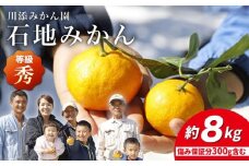 みかん 【12月上旬より配送】 石地みかん/秀品 約8kg（傷み保証300g含む）  みかん ミカン 西海 みかん 西海市 みかん 贈答 ギフト  ＜川添みかん園＞ [CCT007]