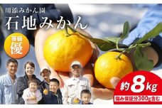 みかん 【12月上旬より配送】 石地みかん/優品 約8kg（傷み保証分300g含む）  みかん ミカン 西海 みかん 西海市 みかん 贈答 ギフト  ＜川添みかん園＞ [CCT006]