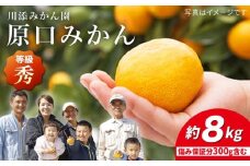 みかん 【11月下旬より配送】 原口みかん/秀品 約8kg（傷み保証分300g含む）＜川添みかん園＞ [CCT003]  みかん ミカン 西海 みかん 西海市 みかん 贈答 ギフト  