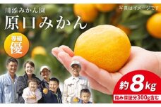 みかん 【11月下旬より配送】 原口みかん/優品 約8kg（傷み保証分300g含む） みかん ミカン 西海 みかん 西海市 みかん 贈答 ギフト  ＜川添みかん園＞ [CCT002]