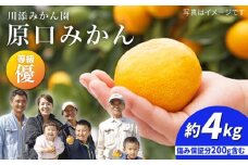 みかん 【11月下旬より配送】原口みかん/優品 約4kg（傷み保証分200ｇ含む）  みかん ミカン 西海 みかん 西海市 みかん 贈答 ギフト ＜川添みかん園＞ [CCT001]
