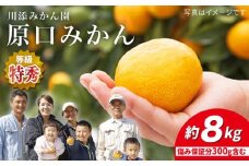 みかん 【11月下旬より配送】 原口みかん/特秀品 約8kg（傷み保証分300g含む） ＜川添みかん園＞ [CCT004] みかん 甘い 原口みかん 果物 フルーツ みかん 贈答 ギフト
