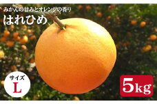 【先行予約☆贈答用みかん】はれひめ 約５kg（Lサイズ）＜広津農園＞ [CBN005]