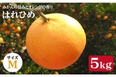 【先行予約☆贈答用みかん】はれひめ 約５kg（Mサイズ）＜広津農園＞ [CBN004]