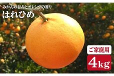 みかん はれひめ 【☆ご家庭用 みかん ☆ 】 はれひめ 約4kg（小～中サイズ混合）＜広津農園＞ [CBN003] 長崎 西海 みかん ミカン 蜜柑 みかん はれひめ みかん