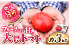 トマト 高糖度 【2026年収穫分先行予約】糖度8度以上！ 大島トマト 約3kg ＜大島造船所 農産グループ＞ [CCK005] 長崎 西海 トマト とまと 大島トマト 高糖度 贈答 トマト