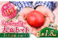 トマト とまと 甘い 高糖度