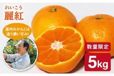 みかん 【先行予約☆限定20箱】 麗紅 （れいこう）約 5kg ＜原口果樹園＞ [CCW003] 長崎 西海 みかん ミカン 蜜柑 みかん 柑橘 贈答 ギフト