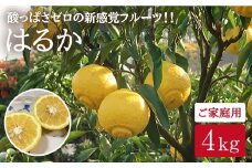 【先行予約】【春をお届け】はるか（ご家庭用みかん）約４kg＜広津農園＞ [CBN006]