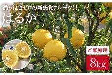 【先行予約】【春をお届け】はるか（ご家庭用みかん）約８kg＜広津農園＞ [CBN007]