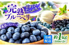 【6月中旬より順次発送】 完熟 ブルーベリー 約1kg（約500g×2パック） ＜広津農園＞ [CBN008] 冷蔵 栽培期間中 農薬不使用  ブルーベリー 果物 果実 冷蔵 生ブルーベリー ブルーベリー 西海市産 