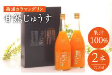 【限定50セット】無添加！果汁100％！西海カラマンダリン 甘熟じゅうす（レギュラー）720ml×2本＜大地のいのち＞ [CDA006]