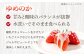訳あり いちご 1kg