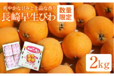 【数量限定♪やさしい甘さ】びわ（長崎早生）2kg＜谷添正義＞ [CDM002]