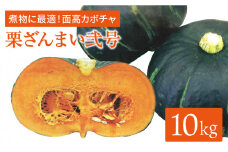 【煮物に◎】【先行予約】面高カボチャ（栗ざんまい弐号）約10kg＜太田幸男＞ [CCN008]