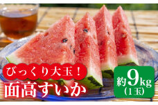 【びっくり大玉】面高すいか約9kg以上×1玉 九州 長崎県 スイカ 瓜 ＜太田幸男＞ [CCN004]