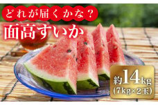 【どれが届くかな？】面高すいか約7kg×2玉 九州 長崎県 スイカ 瓜 ＜太田幸男＞ [CCN003]
