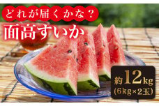 【どれが届くかな？】面高すいか約6kg×2玉 九州 長崎県 スイカ 瓜 ＜太田幸男＞ [CCN002]