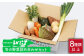野菜 詰め合わせ 8種類