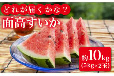 【どれが届くかな？】面高すいか約5kg×2玉 九州 長崎県 スイカ 瓜 ＜太田幸男＞ [CCN001]