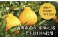 不知火 ジュース 720ml×2本