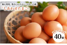 【ノンストレス卵】 平飼い 「しあわせたまご 」40個＜松本養鶏場＞ [CCD021]