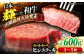 長崎和牛 牛肉 ヒレステーキ ヒレ フィレ ヒレ肉 ステーキ肉 牛肉ステーキ ステーキ 牛肉ヒレ ステーキ用