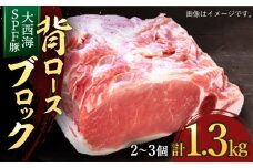 【肉塊で肉会】大西海 SPF豚 背ロースブロック 計1.3kg（2～3個） 訳あり ＜大西海ファーム＞ [CCY027] 長崎 西海 ブロック 国産豚 贈答 ギフト 角煮