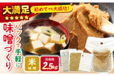 【自宅で味噌づくり】 手作り 味噌 キット『 米味噌 』＜川添酢造＞ [CDN009]  長崎 西海 味噌 米味噌 手作り みそ 贈答 ギフト 