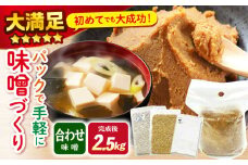 【自宅で味噌づくり】 手作り 味噌 キット『 合わせ味噌 』＜川添酢造＞ [CDN010] 長崎 西海 味噌 合わせ味噌 手作り みそ 贈答 ギフト 